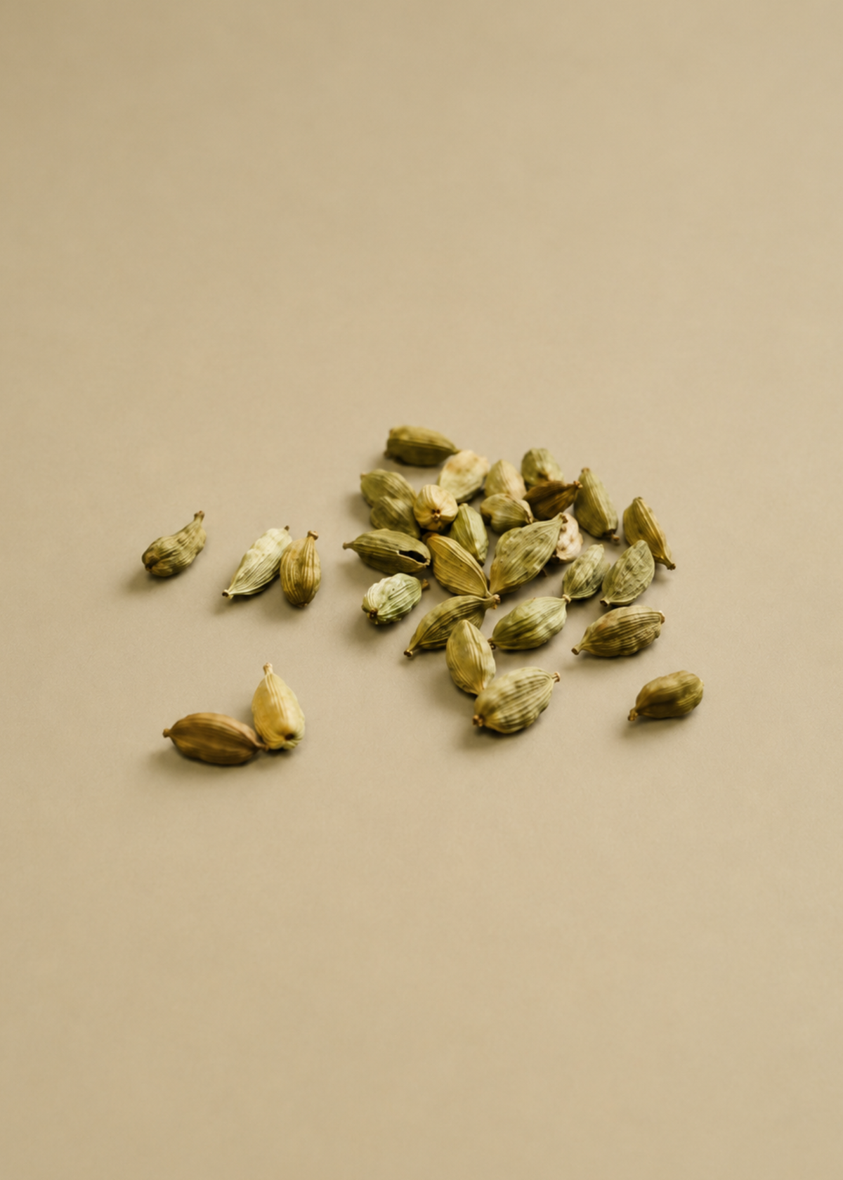 CARDAMOM: The intrigue