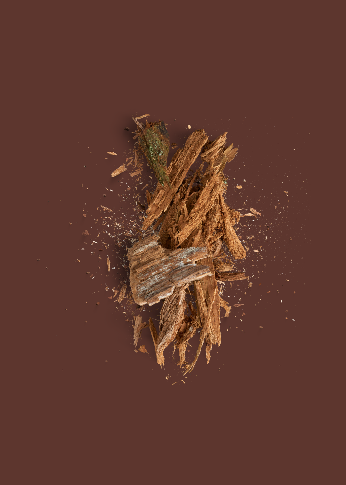 CEDARWOOD: THE STRUCTURE