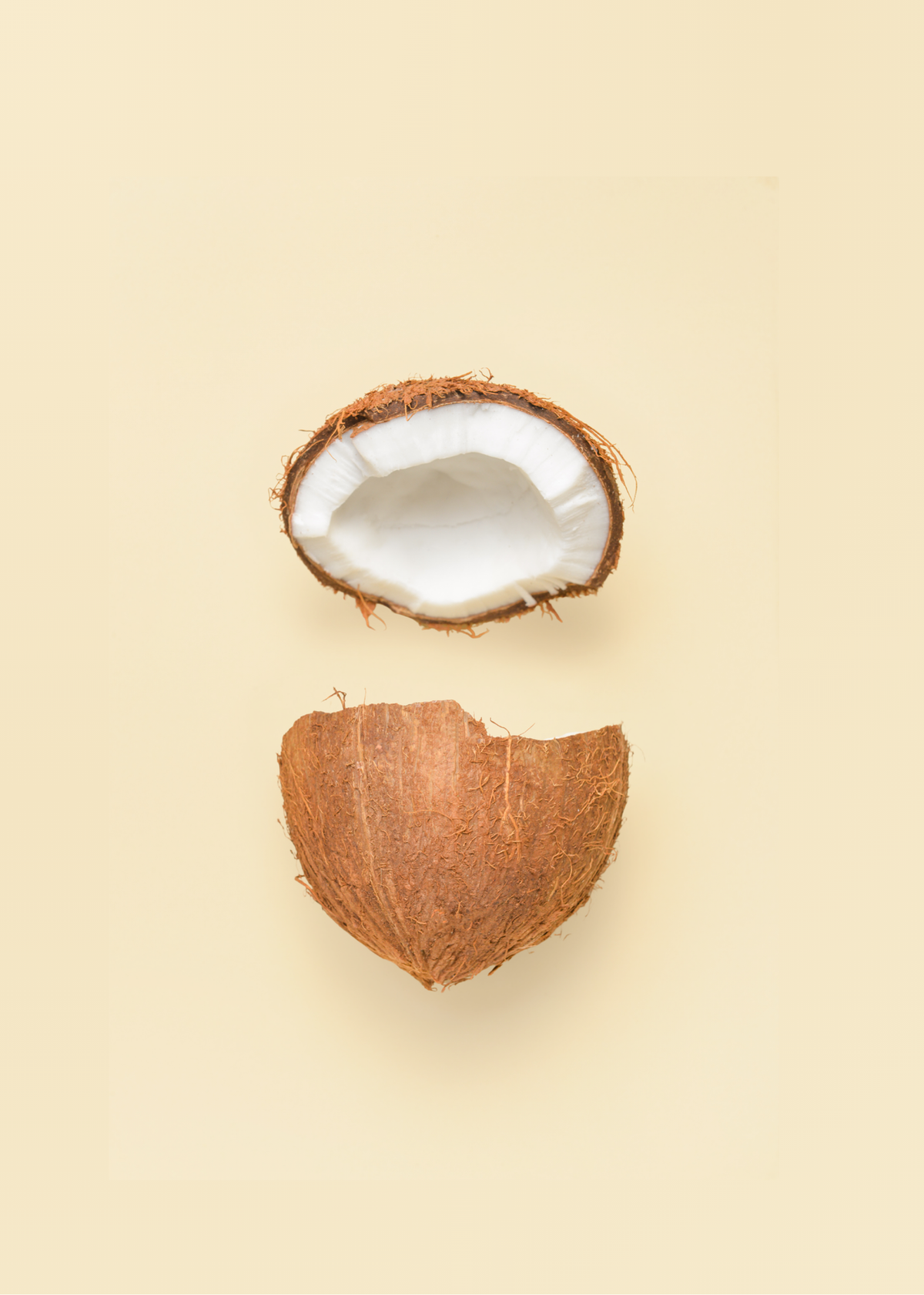 COCONUT HUSK: The texture