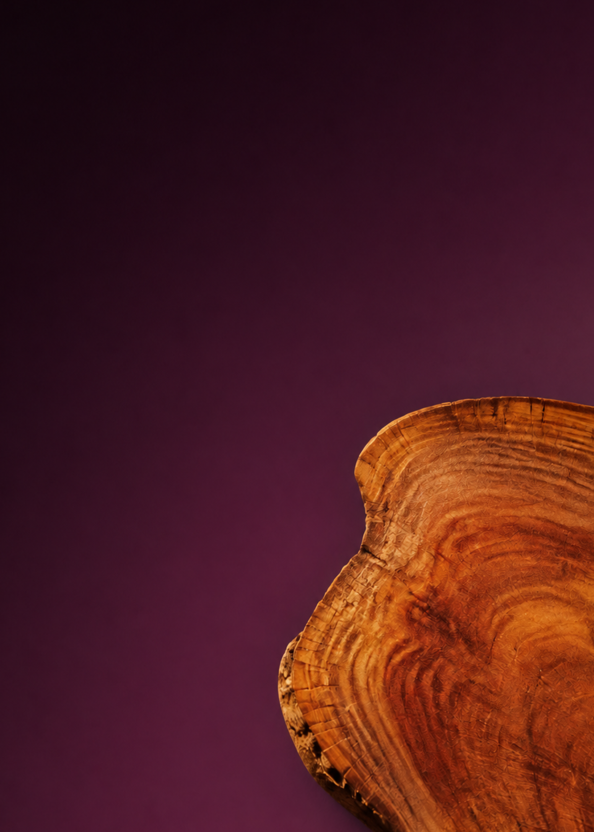 SANDALWOOD: THE INVITATION