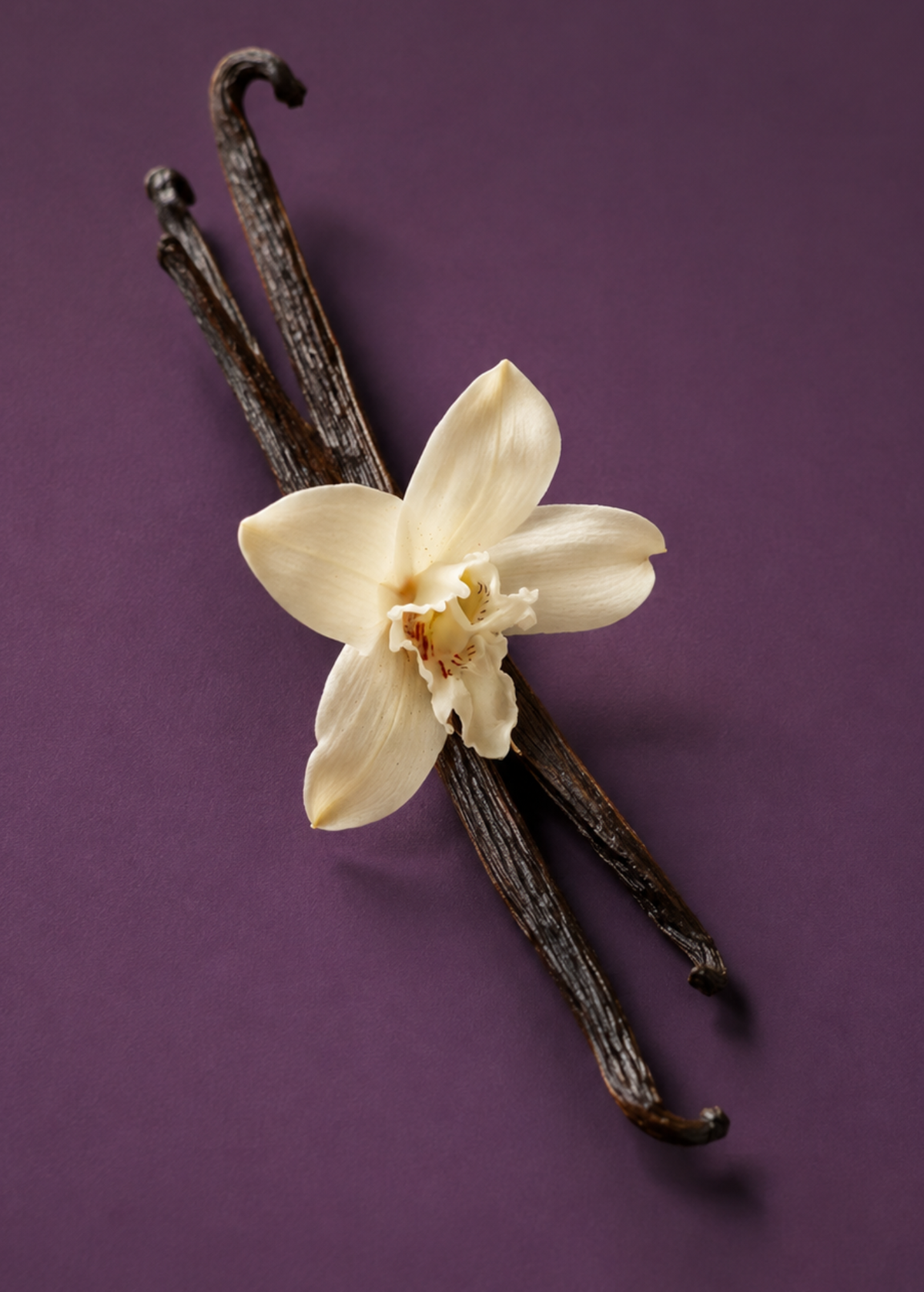 VANILLA: The finish