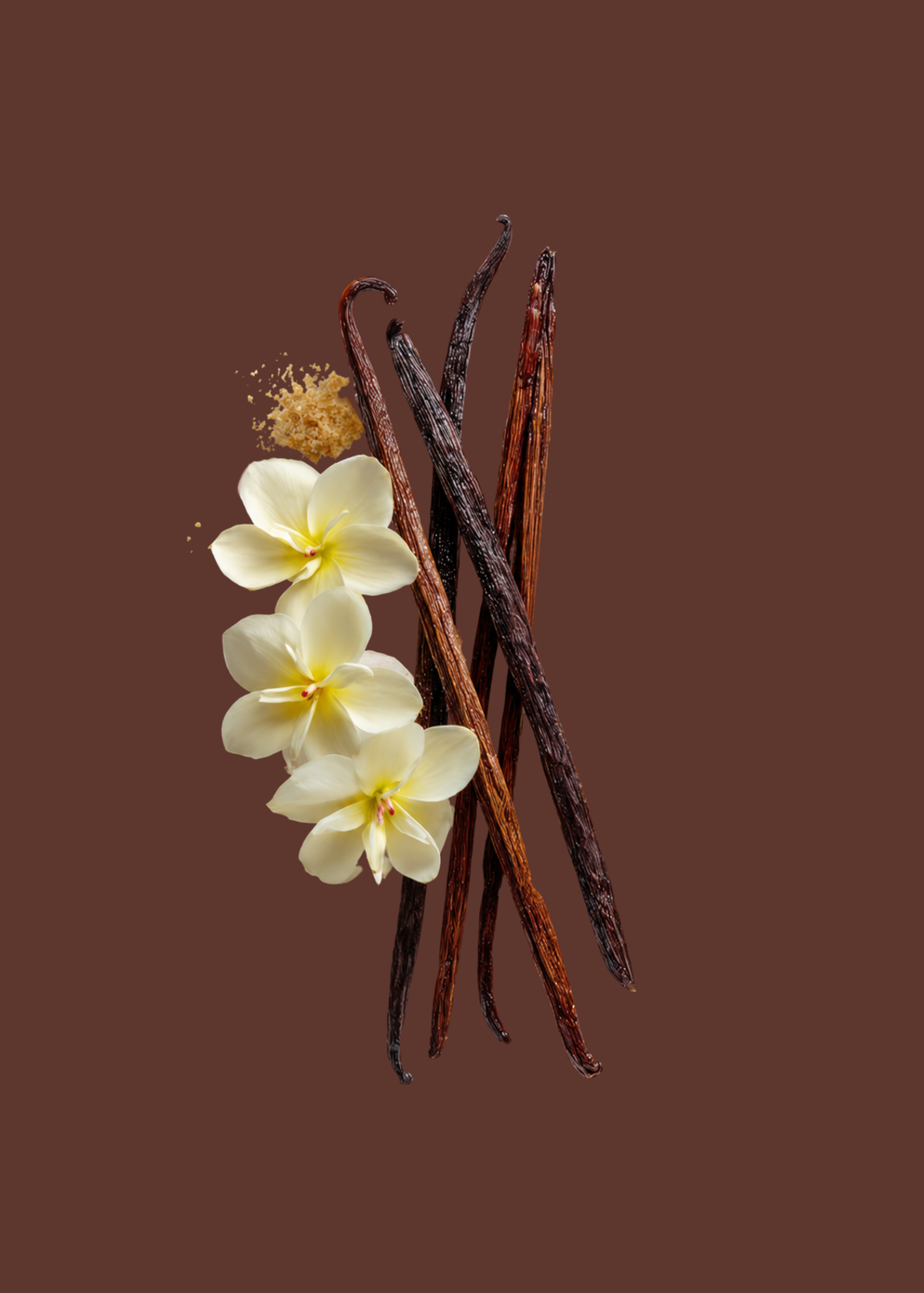VANILLA: The comfort