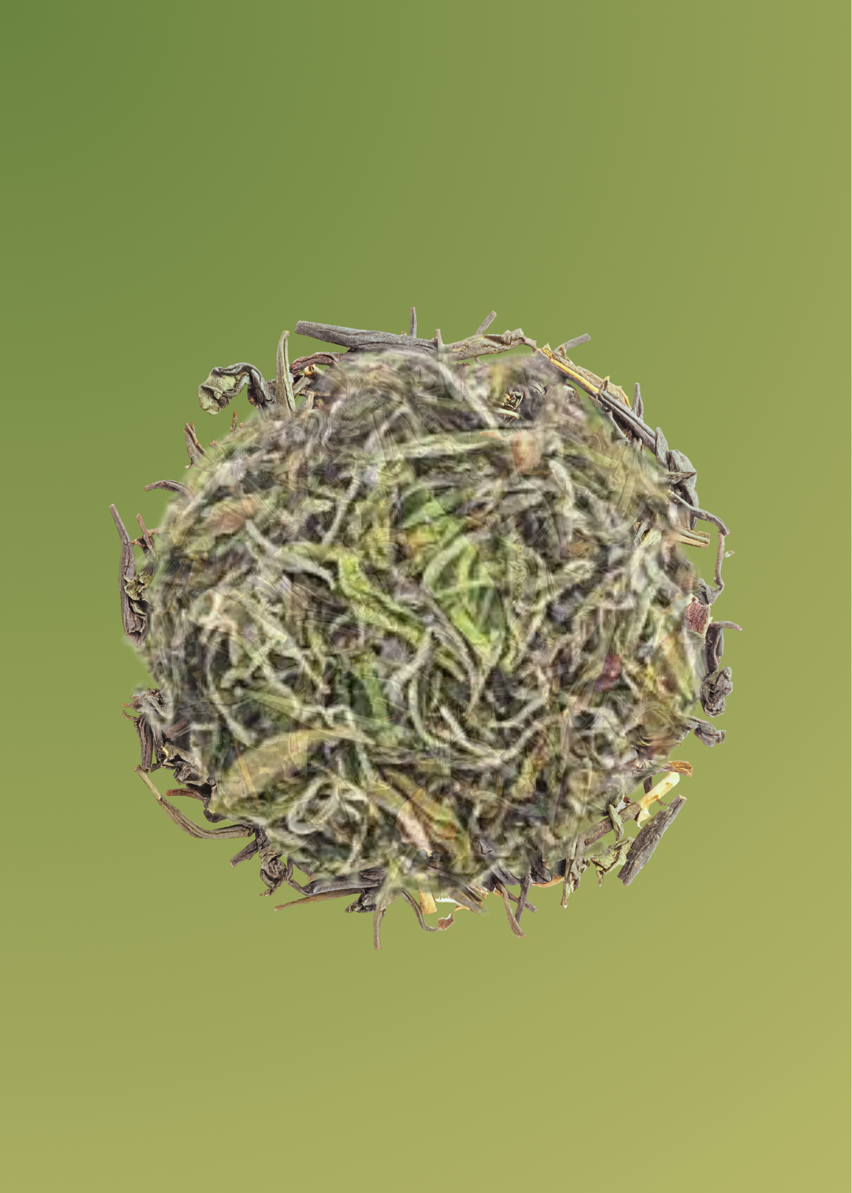 WHITE TEA: THE CLARITY